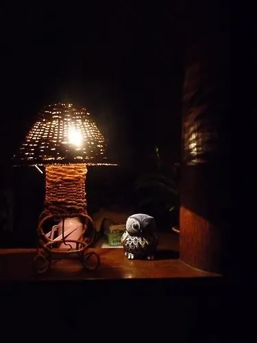 Coconuts Hummingbird Apartment Jimbaran