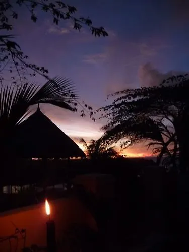 Coconuts Hummingbird Apartment Jimbaran