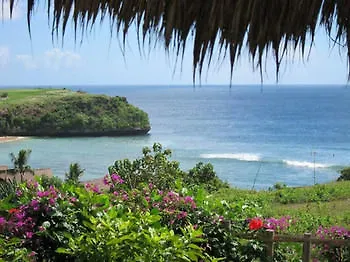 Coconuts Hummingbird Apartment Jimbaran